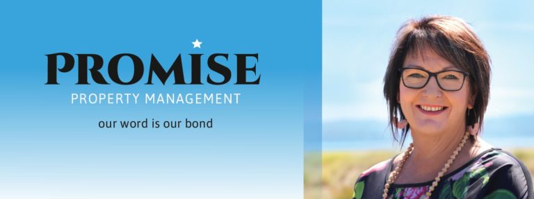 Promise Property Management 768x287