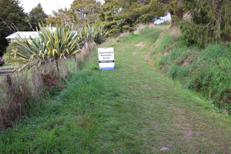 Faulkner Bush Lookout Hill Planting 2020 21 768x512