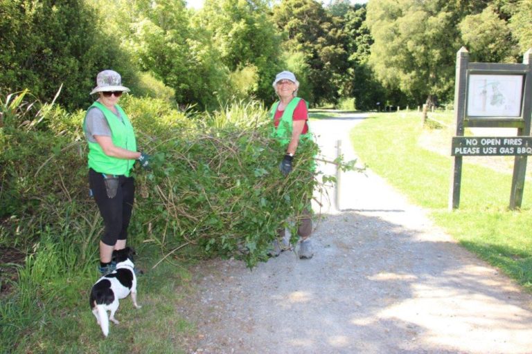 Volunteers At Edward Baigent Scenic Reserve 11 768x512