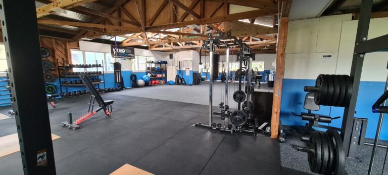 20231128 081824 Medium 768x346