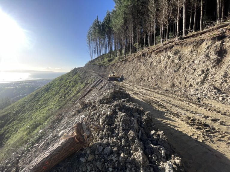 IMG 1661 Copy Medium 768x576