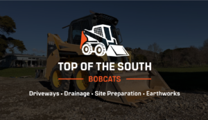 Bobcats png 300x174