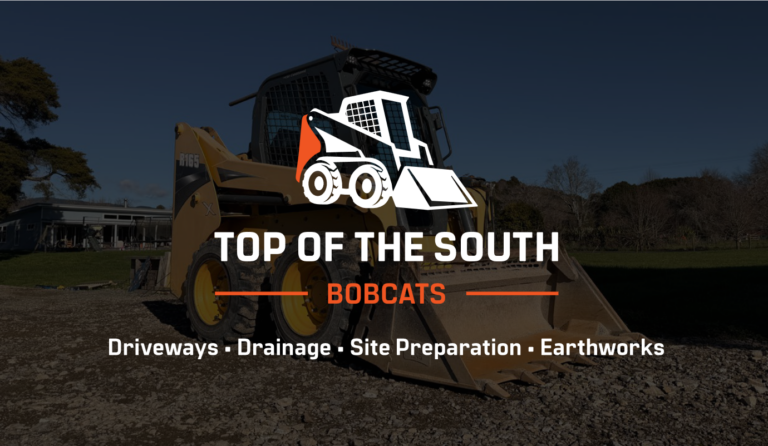 Bobcats png 768x446
